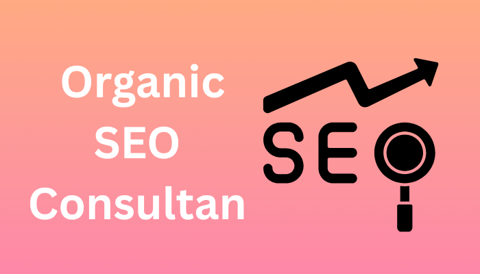 Organic SEO Consultan