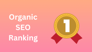 Organic SEO Ranking