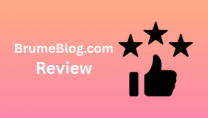BrumeBlog.com Review