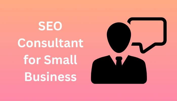 SEO Consultant for Small Business