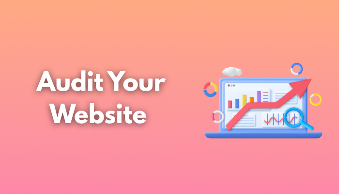 Audit Your Website